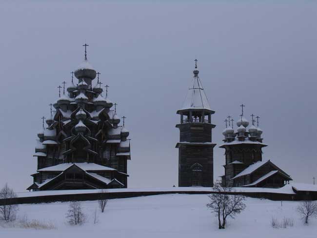 Зимний лес, ели в снегу