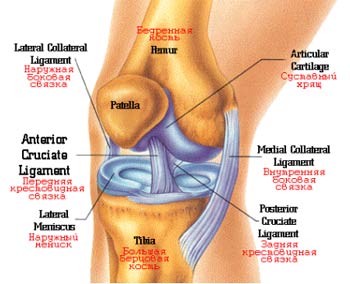 Повреждение боковых связок коленного сустава